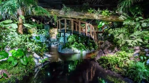 DMM Kariyushi Aquarium