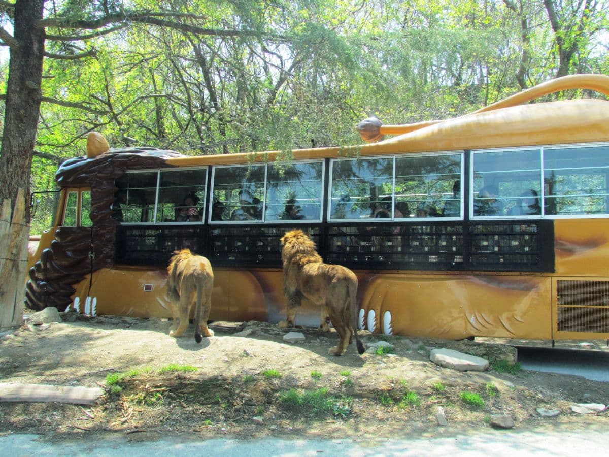Gunma Safari Park