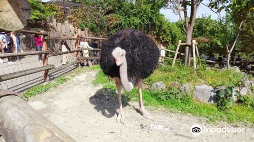Gunma Safari Park