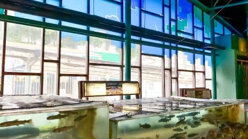 Hakone-en Aquarium