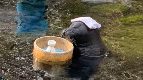 Hakone-en Aquarium