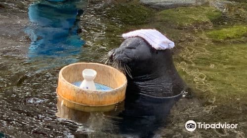Hakone-en Aquarium