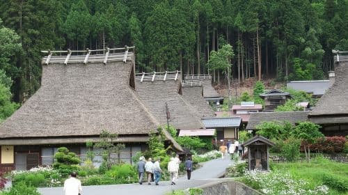 Da Osaka/Kyoto: Tour giornaliero di Amanohashidate con pranzo incluso