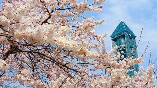 Higashiyama Zoo and Botanical Gardens