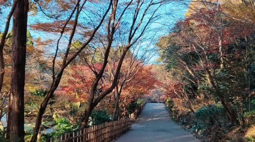 Higashiyama Zoo and Botanical Gardens