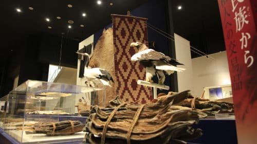 Hokkaido Museum