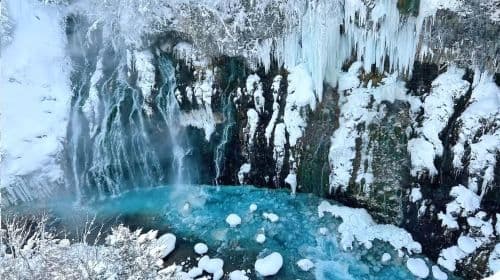 Hokkaido Forest Fairy Terrace, Asahiyama Zoo, and Shirahige Falls 1일 투어 | 9인 소규모 일일 투어