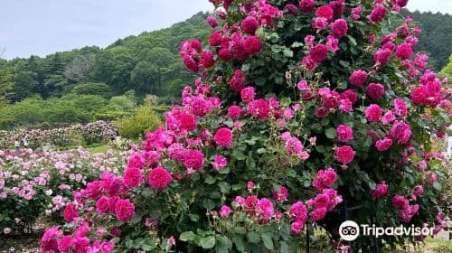 IBARAKI FLOWER PARK