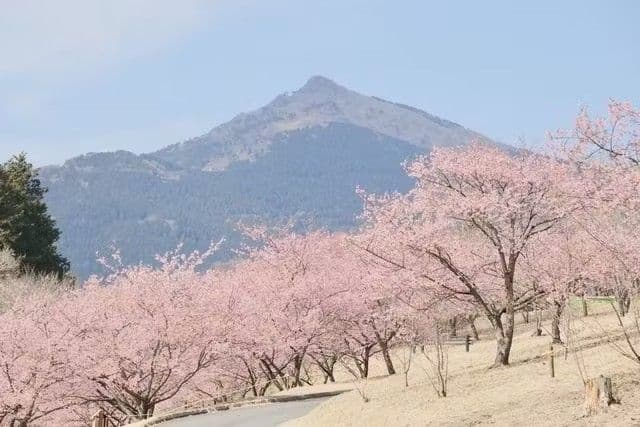 Ibaraki Flower Park
