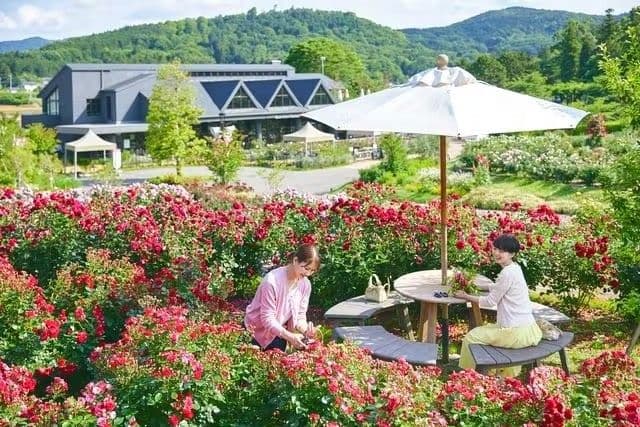Ibaraki Flower Park