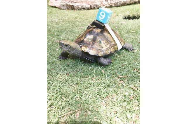 iZoo 感官動物園