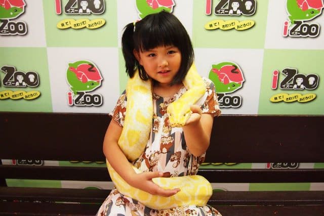 iZoo 感官動物園