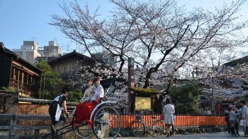 Vanuit Osaka: Nara, Kyoto, Fushimi Inari, Himeji en Kobe dagtochten
