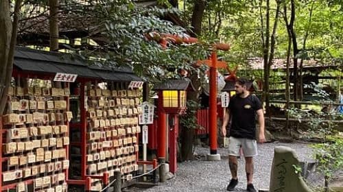 Vanuit Osaka: Nara, Kyoto, Fushimi Inari, Himeji en Kobe dagtochten