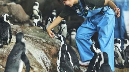 Kyoto Aquarium