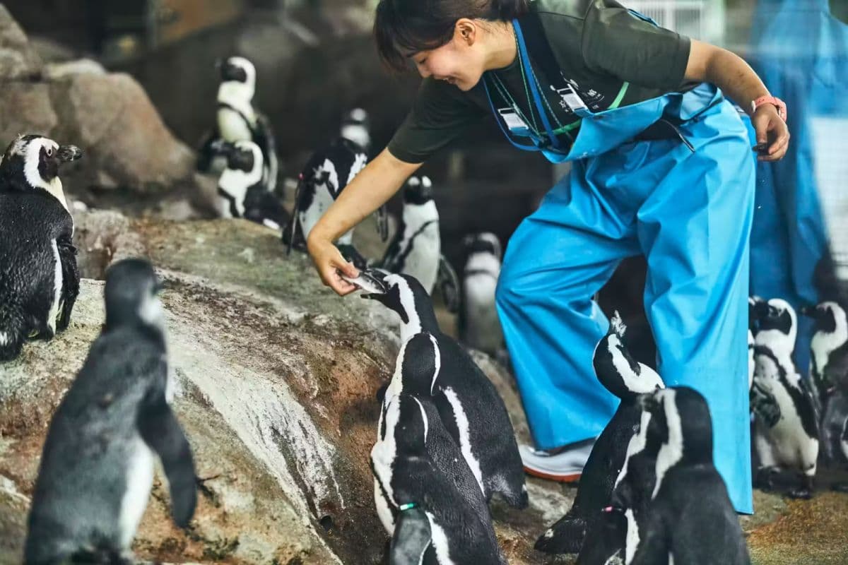 Kyoto Aquarium