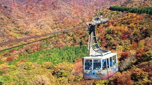 De Tokyo à Hakone : Billets de train et excursions d'une journée avec le Hakone Free Pass