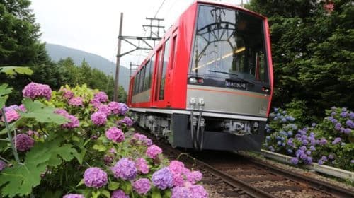 TokyoからHakoneへ：鉄道チケットとHakone Free Passで巡る日帰りツアー