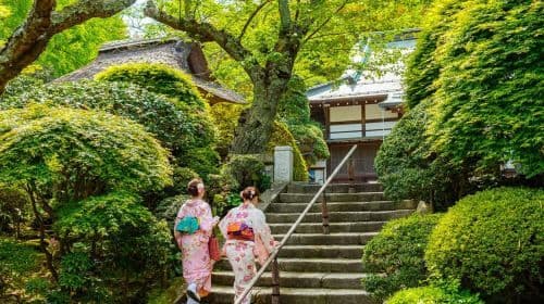 De Tóquio: Excursão Privada Personalizada de Dia Inteiro em Kamakura