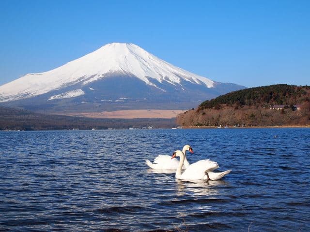Lake Yamanaka