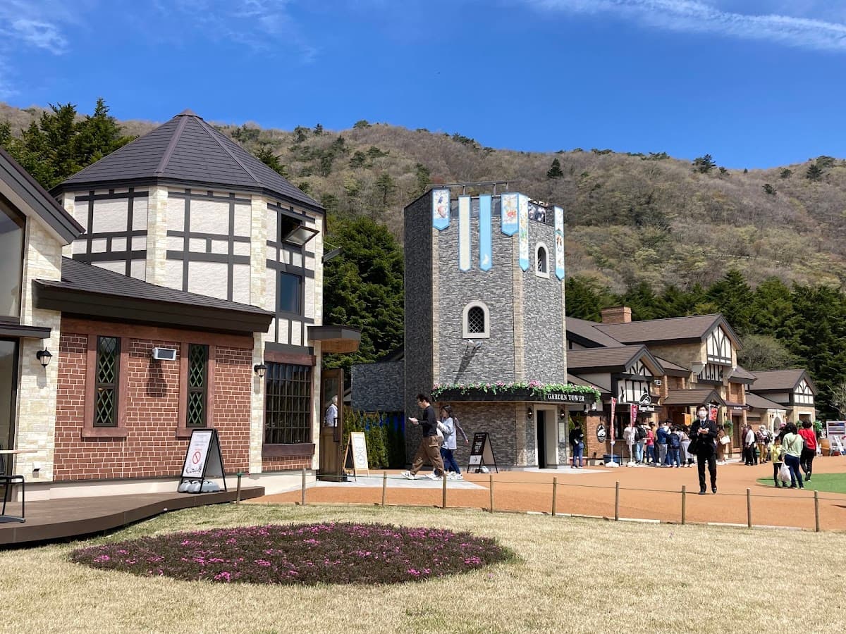 Fuji Shibazakura Festival Admission