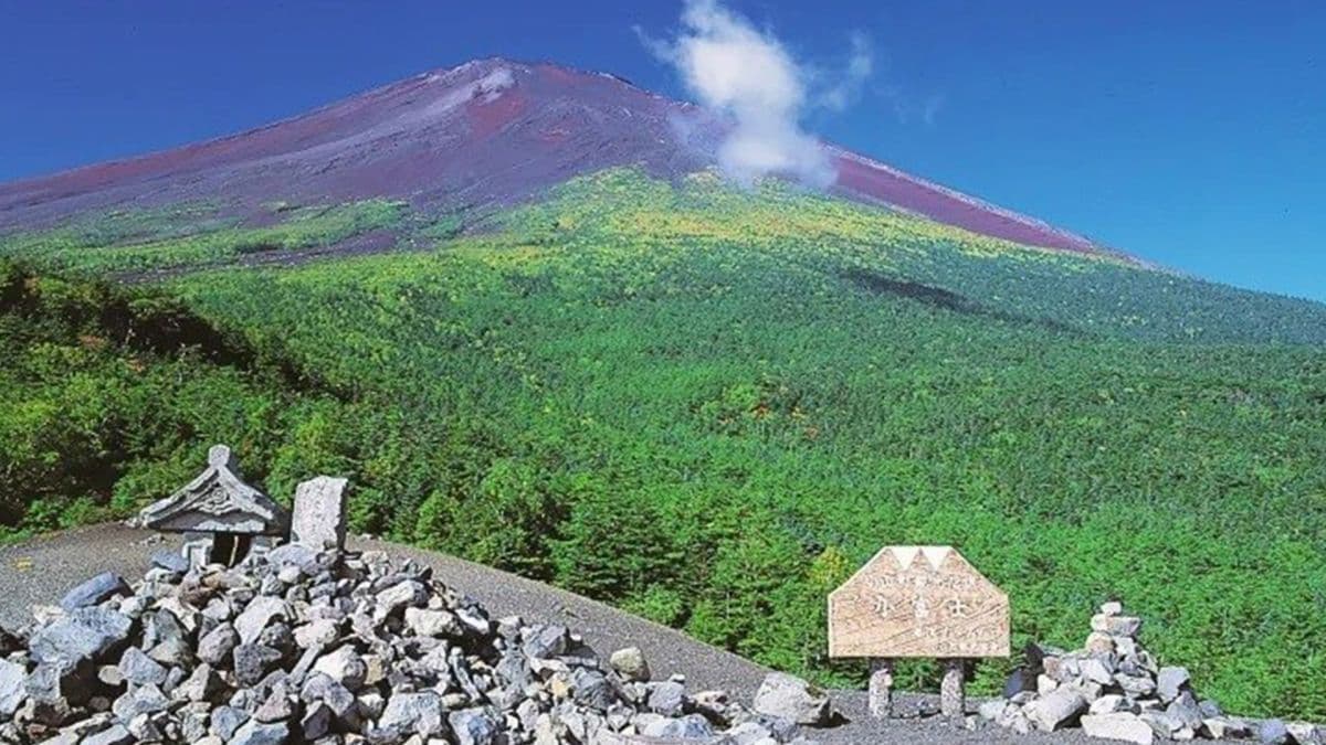 Fuji Twin Lakes Hot Springs Day Tour