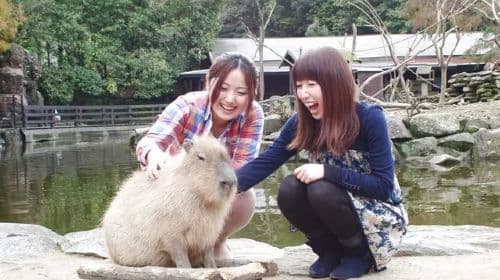 Nagasaki Bio Park