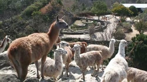 Nagasaki Bio Park