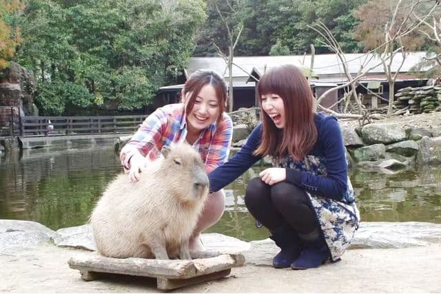 Nagasaki Bio Park