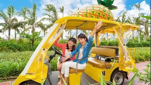 Naha: Sightseeingtour door Noord-Okinawa & Churaumi Aquarium Dagtours