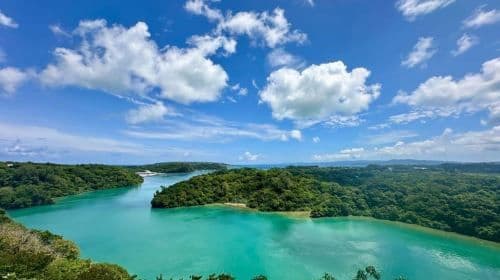 Naha: Sightseeingtour door Noord-Okinawa & Churaumi Aquarium Dagtours