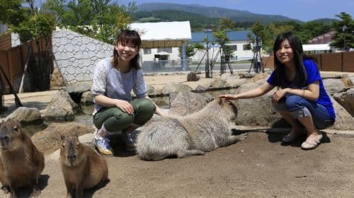 Nasu Animal Kingdom