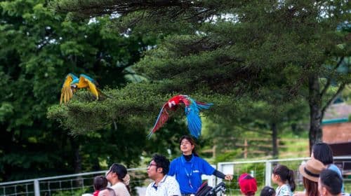 Nasu Animal Kingdom