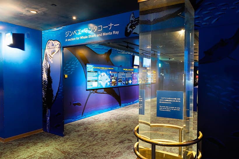 Okinawa Churaumi Aquarium