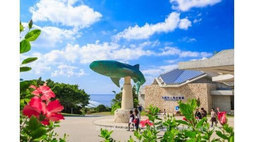 Okinawa Churaumi Aquarium