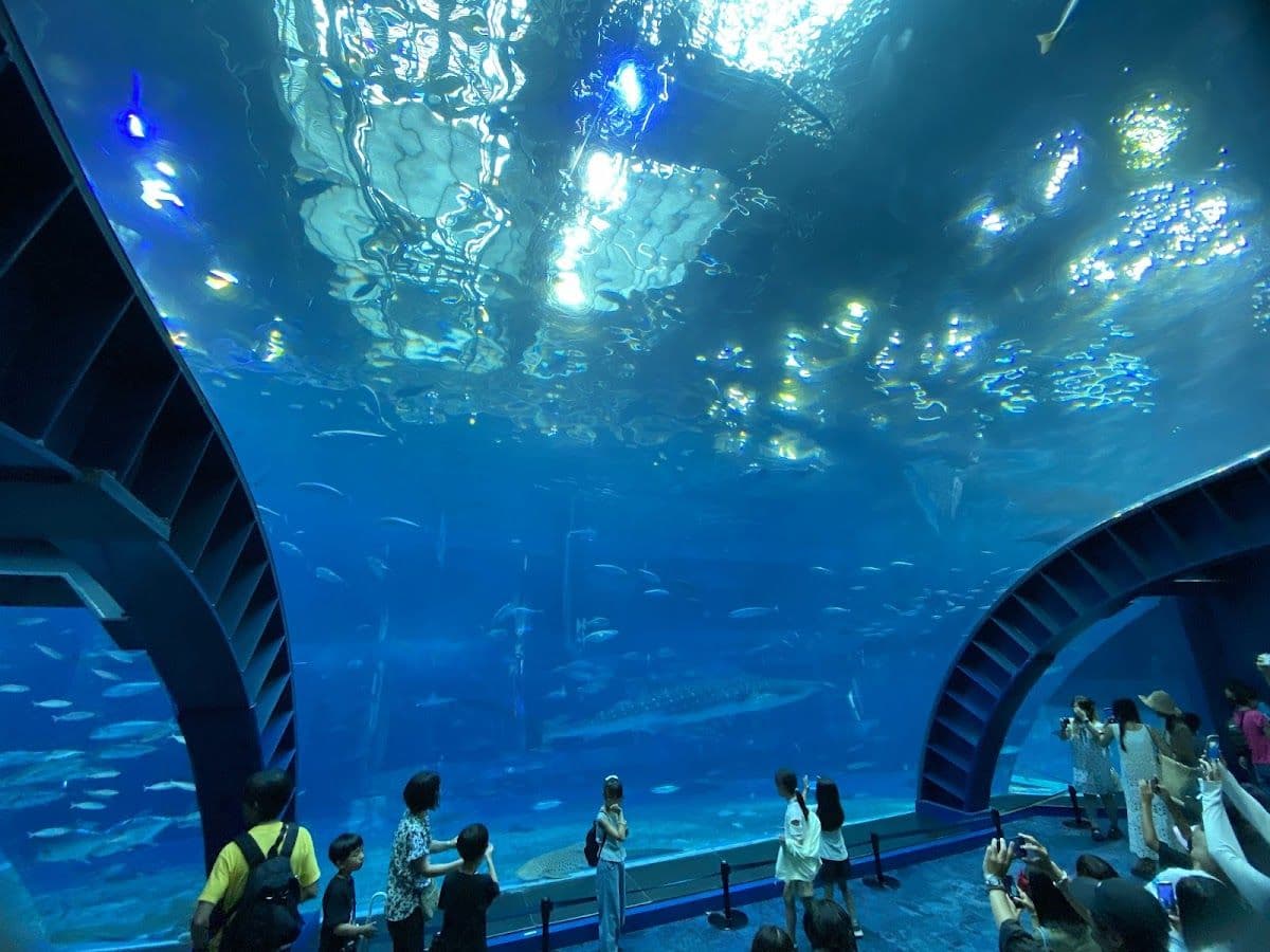 Okinawa GoGo! 3 Sightseeing Pass (Churaumi Aquarium + Choose 2 Destinations)