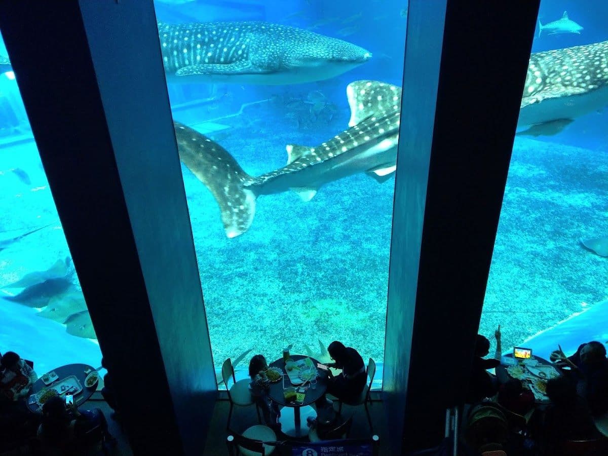 Okinawa GoGo! 3 Sightseeing Pass (Churaumi Aquarium + Choose 2 Destinations)
