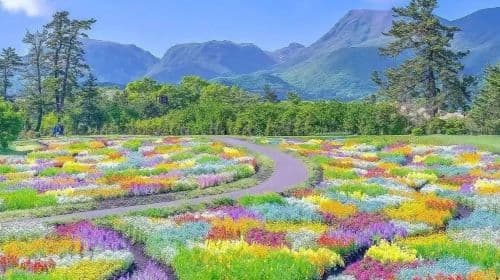 Tour di un giorno dello Kyushu Zoo a Oita, Ghibli Town & Tour di interazione con gli animali