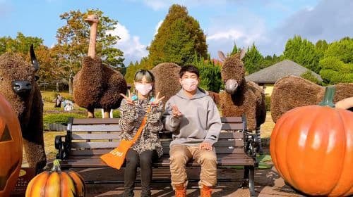 Tour di un giorno dello Kyushu Zoo a Oita, Ghibli Town & Tour di interazione con gli animali