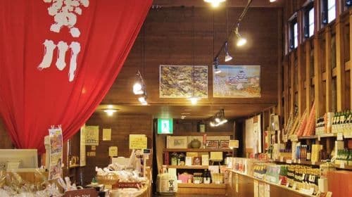 Otaru Aquarium, Ropeway, Cinematic Bus Tour from Sapporo Day Tours