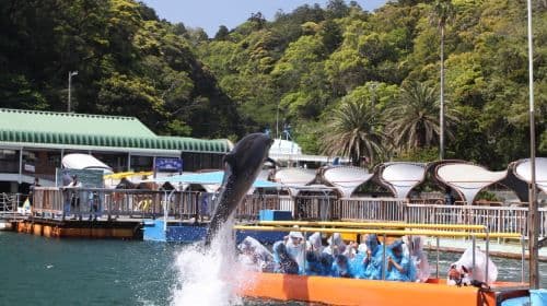 Shimoda Floating Aquarium