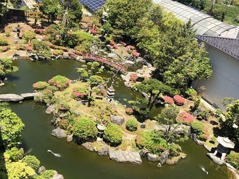 Fukui Awara Onsen Hot Spring & Matcha Experience Tour