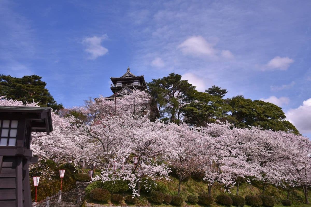 Toegangsticket voor Maruoka Castle in Fukui