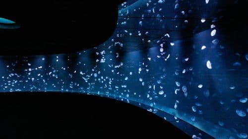 Sunshine Aquarium
