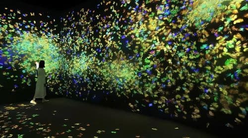 teamLab Forest Fukuoka