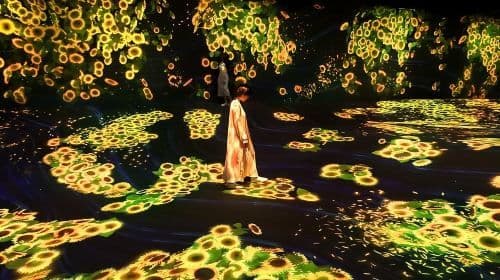 teamLab Forest Fukuoka