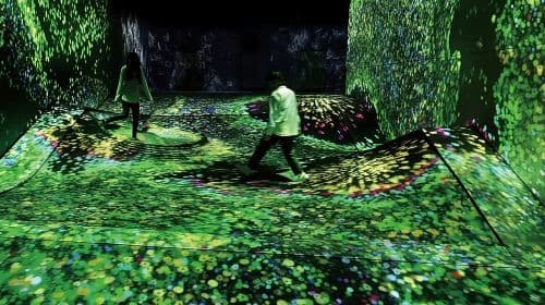 teamLab Forest Fukuoka