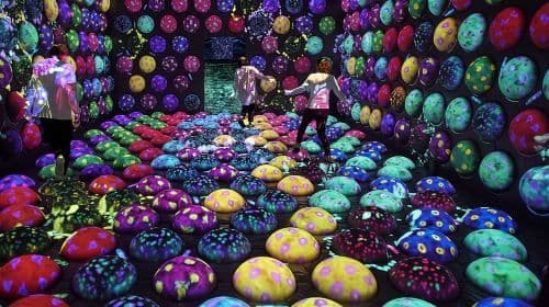 teamLab Forest Fukuoka