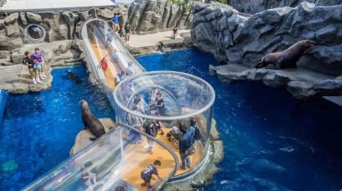 Toba Aquarium