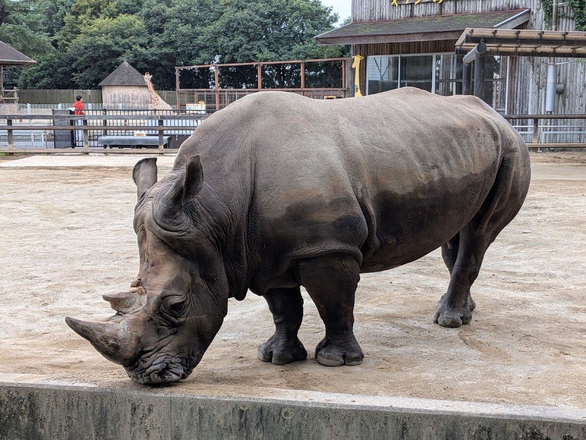 Tobu Zoo